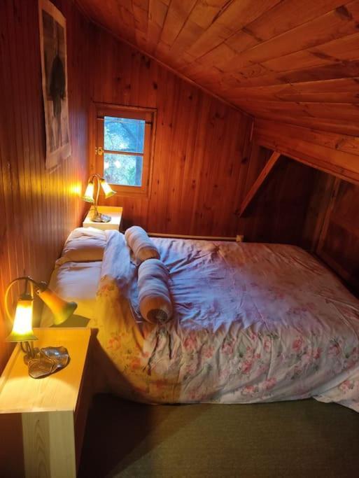 Chalet Accueillant Et Familial Saint-Martin-Vésubie Kültér fotó